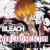 BLEACH