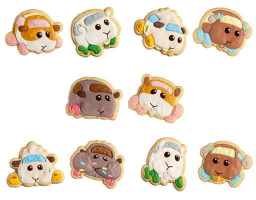 PUI PUI モルカー COOKIE MAGCOT