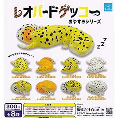 レオパードゲッコーおやすみシリーズ