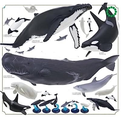 ネイチャーテクニカラー400 クジラとイルカ