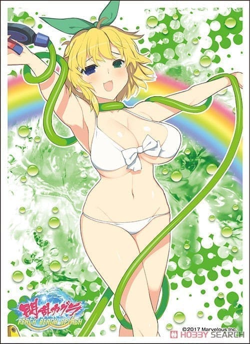 キャラクタースリーブ 閃乱カグラ PEACH BEACH SPLASH 両奈 (B) (EN-700)