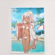 劇場版Fate/kaleid liner プリズマ☆イリヤ Licht 名前の無い少女 描き下ろし B2タペストリー クロエ 夏 Wスエード