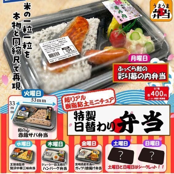 超リアル樹脂粘土ミニチュア 特製日替わり弁当