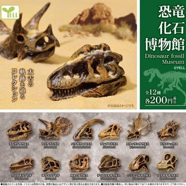 恐竜化石博物館(再販)
