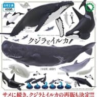 NTC400 クジラとイルカ(再販)>