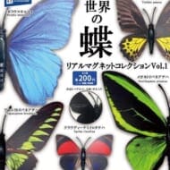世界の蝶 リアルマグネットコレクションvol.1