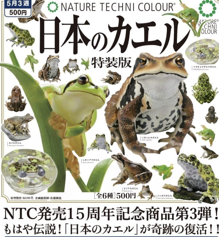 NTC 日本のカエル 特装版