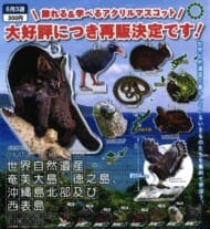NTC 世界自然遺産 奄美大島、徳之島、沖縄島北部及び西表島 アクリルマスコット(再販)>