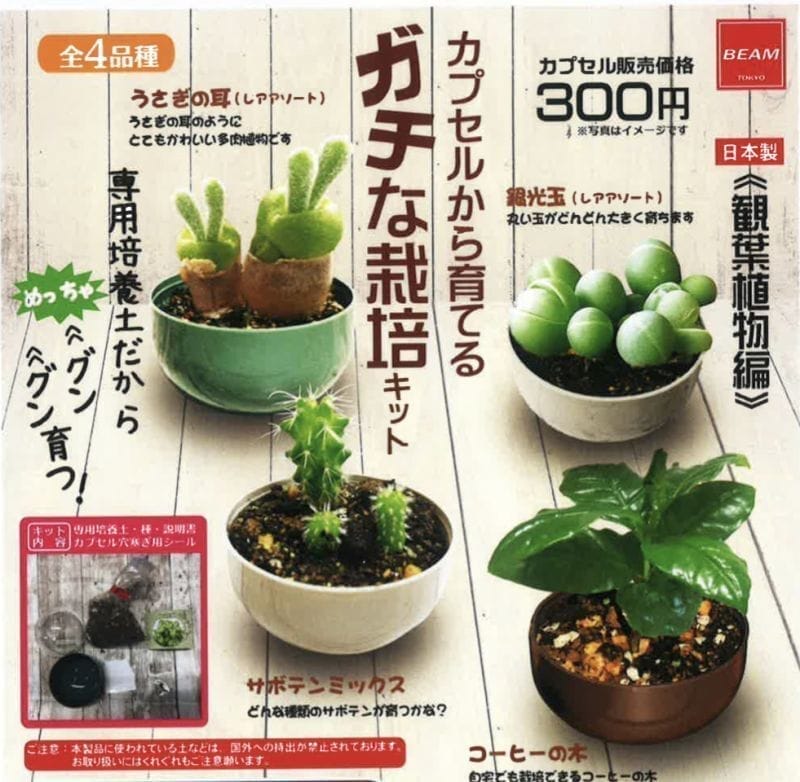 カプセルから育てる ガチな栽培キット【観葉植物編】