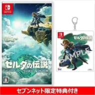 Nintendo Switch ゼルダの伝説 Tears of the Kingdom