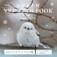 雪の妖精 シマエナガクリアファイルBOOK やなぎさわごう