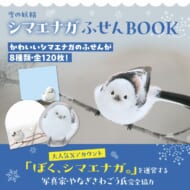 雪の妖精 シマエナガふせんBOOK やなぎさわごう