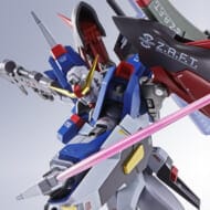 ROBOT魂 機動戦士ガンダムSEED DESTINY METAL <SIDE MS> デスティニーガンダム [Re:Coordinate]>