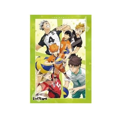 アニメ『ハイキュー!!』 ジグソーパズル1000ピース【強敵】1000T-508