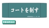 ハイキュー!! ヘアバンド 02 青葉城西高校>