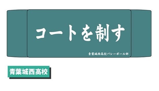 ハイキュー!! ヘアバンド 02 青葉城西高校