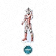 ウルトラマンシリーズ アクリルフィギュア Repaint Art ウルトラマンメビウス vol.2>