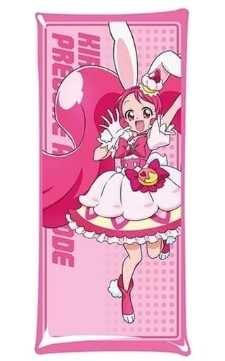 プリキュアオールスターズ マルチクリアケース Lsize 12 キラキラ☆プリキュアアラモード