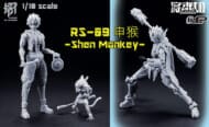 RAIDER OF SHADOW[影] 1/10 RS-09 申猴 Shen Monkey