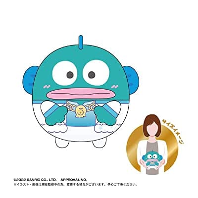 サンリオキャラクターズ はぴだんぶい ふわコロりん Msize2 A ハンギョドン