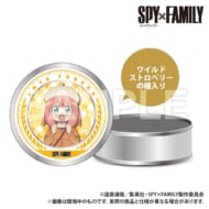 SPY×FAMILY 栽培キット入りギフト缶 アーニャ・フォージャー>