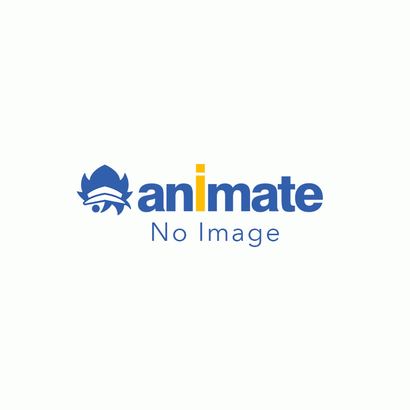 TVアニメ「終末のワルキューレ」 トレーディング Ani-Art アクリルキーホルダー