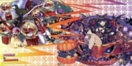 ブシロード ラバーマットコレクション V2 Vol.672 パズル&ドラゴンズ『星翔の大魔女・ファスカ&洋館の大魔女・ネレ』