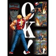 PROOF THE KING OF FIGHTERS ’98 イラストスリーブNT テリー・ボガード(80枚入り)>