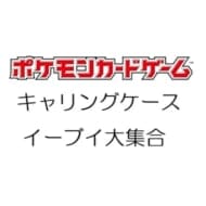 【ポケモンカードゲーム】キャリングケース イーブイ大集合