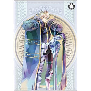 Fte/Grand Order 劇場版 -神聖円卓領域キャメロット-前編 合皮パスケース PALE TONE series ガウェイン