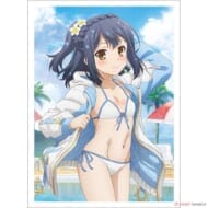 劇場版「Fate/kaleid liner プリズマ☆イリヤ Licht 名前の無い少女」描き下ろしスリーブ(美遊/夏)(65枚入り)>