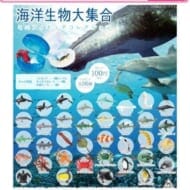 【海洋生物大集合】:Re ミニフィギュアコレクション