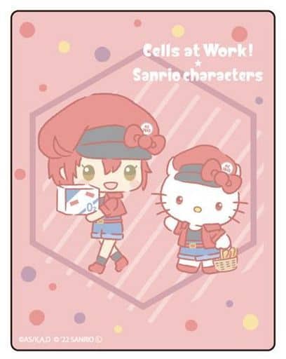 キャラフレームカード「はたらく細胞×サンリオキャラクターズ」01/赤血球・ハローキティ>