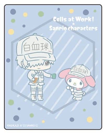 キャラフレームカード「はたらく細胞×サンリオキャラクターズ」02/白血球(好中球)・マイメロディ