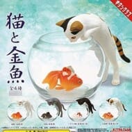 猫と金魚>