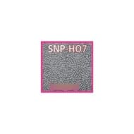 SNP-HO7 石畳 1枚入